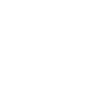 Logo for First Eagle Alternative Capital BDC Inc