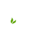 Logo for Noumi Ltd