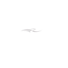 Logo for Akoustis Technologies Inc