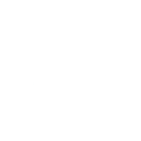 Logo for American International Group Inc