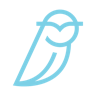 Logo for Blue Owl Capital Inc