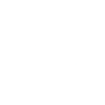 Logo for Boston Scientific Corporation