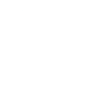 Logo for Nordstrom Inc
