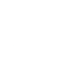Logo for Sampo