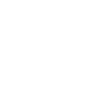 Logo for SolarEdge Technologies Inc