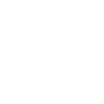 Logo for Spirit Airlines Inc