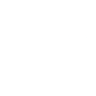 Logo for Take-Two Interactive Software Inc