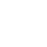 Logo for Titanium Transportation Group Inc