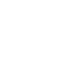 Logo for TuSimple Holdings Inc