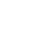 Logo for XPeng
