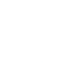 Logo for The Lion Electric Company
