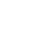 Logo for The Lion Electric Company