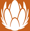 Logo for Liberty Global plc