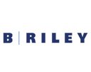 Logo for B Riley Financial Inc