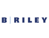 Logo for B Riley Financial Inc