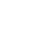 Logo for Pros Holdings Inc