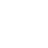 Logo for NetSol Technologies Inc