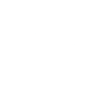 Logo for DZS Inc