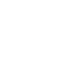 Logo for Bodyflight Sweden