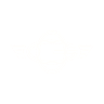 Logo for Golden Ocean Group