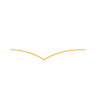 Logo for Deciphera Pharmaceuticals