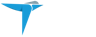 Logo for Terns Pharmaceuticals