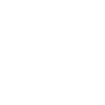 Logo for JBS S.A.