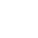 Logo for Nordic Lights Group Oyj