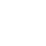 Logo for Nordic Lights Group Oyj