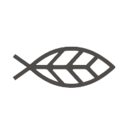 Logo for Icelandic Salmon