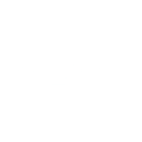 Logo for Olympique Lyonnais Groupe SA