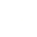 Logo for Lindex Group Oyj