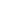 Logo for Lindex Group Oyj