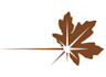 Logo for Copperleaf Technologies Inc