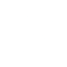 Logo for NGK Insulators