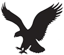 Logo for American Eagle Outfitters Inc