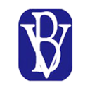 Logo for BV Financial Inc
