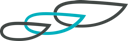 Logo for Spruce Biosciences Inc