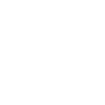 Logo for Phison Electronics