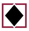 Logo for Black Diamond Group Limited