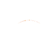 Logo for TechnoPro Holdings Inc
